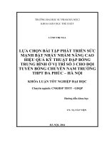 Lựa chọn bài tập phát triển sức mạnh bật nhảy nhằm nâng cao hiệu quả kỹ thuật đập bóng trung bình ở vị trí số 3 cho đội tuyển bóng chuyền nam trường THPT đa phúc   hà nội (2014) 