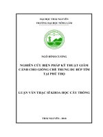 Nghiên cứu biện pháp kỹ thuật giâm cành cho giống chè trung du búp tím tại Phú Thọ (Luận văn thạc sĩ)