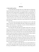 Xây dựng chiến lược kinh doanh cho ngành hàng thức ăn chăn nuôi của GUYOMARC’H VN tại miền trung