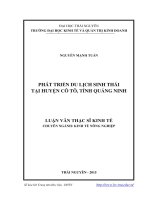 Phát triển du lịch sinh thái tại huyện Cô Tô, tỉnh Quảng Ninh (Luận văn thạc sĩ)