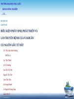 ĐIỀU KIỆN PHÁT SINH, PHÁT TRIỂN VÀ LAN TRUYỀN BỆNH CỦA VI KHUẨN CÓ NGUỒN GỐC TỪ ĐẤT (RALSTONIA SOLANACERUM VÀ ERWINIA CAROTOVORA)
