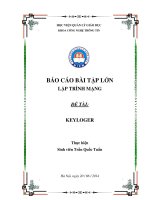 BÁO CÁO BÀI TẬP LỚN LẬP TRÌNH MẠNG ĐỀ TÀI: KEYLOGER