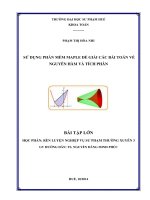 SỬ DỤNG PHẦN MỀM MAPLE ĐỂ GIẢI CÁC BÀI TOÁN VỀ NGUYÊN HÀM VÀ TÍCH PHÂN