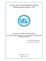 Tiểu luận về hoạt động cho vay của ngân hàng thương mại cổ phần tại việt nam
