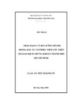 Nhận dạng và đo lường rủi ro trong đầu tư cổ phiếu niêm yết trên Sở  Giao dịch Chứng khoán Thành phố Hồ Chí Minh
