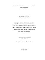 Hiệu quả kiểm soát glucose máu, cải thiện một số chỉ tiêu hóa sinh của thực phẩm chức năng chiết xuất từ lá vối  ổi   sen (VOSCAP) trên bệnh nhân đtđ type 2 tại hà nội ( Luận án tiến sĩ)