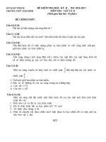 ĐỀ THI KÌ 2 MÔN VẬT LÝ LỚP 11 THPT THÁI BÌNH 