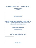 Nghiên cứu đặc điểm lâm sàng, cận lâm sàng và kết quả điều trị rò mật bằng đặt stent qua nội soi mệt tụy ngược dòng tt