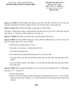 ĐỀ THI KÌ 2 MÔN VẬT LÝ LỚP 11 THPT NGUYỄN THƯỜNG HIỀN 