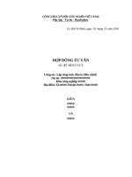 Mẫu hợp đồng tư vấn 2018