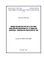 Nghiên cứu hiệu quả của gây tê tủy sống bằng hỗn hợp bupivacain 0,5% tỷ trọng cao   sufentanil   morphin liều thấp để mổ lấy thai (Luận án tiến sĩ)
