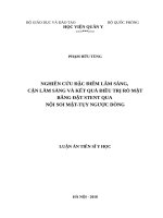 Nghiên cứu đặc điểm lâm sàng, cận lâm sàng và kết quả điều trị rò mật bằng đặt stent qua nội soi mệt tụy ngược dòng
