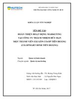 hoàn thiện hoạt động marketing tại công ty trách nhiệm hữu hạn một thành viên sài gòn co op tiên hoàng (co opmart đinh tiên hoàng) 