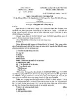 Mẫu BCTD phê duyệt dự toán, thiết kế và kế hoạch lựa chọn nhà thầu