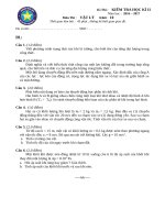 ĐỀ THI KÌ 2 MÔN VẬT LÝ LỚP 10 THPT  NGOI SAO 