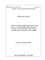 Thừa cân béo phì ở trẻ mẫu giáo quận 5 thành phố hồ chí minh và hiệu quả giáo dục sức khỏe ( Luận án tiến sĩ)