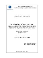 Quyền bào chữa của bị can, bị cáo là người chưa thành niên trong tố tụng hình sự việt nam ( Luận án tiến sĩ)