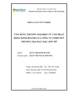 Ứng dụng thương mại điện tử vào hoạt động kinh doanh của công ty TNHH MTV thương mại may mặc sơn mỹ 