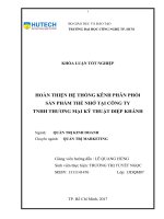 Hoàn thiện hệ thống kênh phân phối sản phẩm thẻ nhớ tại công ty TNHH thương mại kỹ thuật diệp khánh 