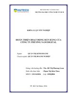 Hoàn thiện hoạt động bán hàng của công ty phương nam digital 