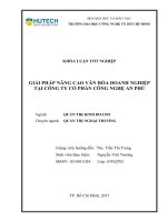 Giải pháp nâng cao văn hóa doanh nghiệp tại công ty cổ phần nghệ an phú 