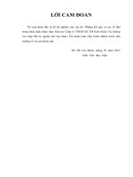 Giải pháp hoàn thiện hoạt động marketing cho sản phẩm giấy photocopy double a tại công ty TNHH SXTM kim hoàng vũ 