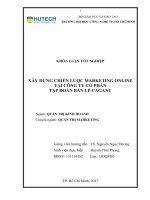 Xây dựng chiến lược marketing online tại công ty cổ phần tập đoàn bán lẻ caganu 