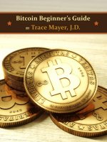 bitcoin beginner guide