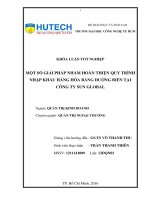 Một số giải pháp nhằm hoàn thiện quy trình nhập khẩu hàng hóa bằng đường biển tại công ty sun global