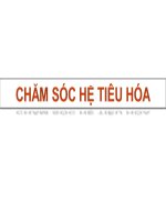 CHAM SOC HE TIEU HOA