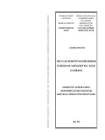Mise en valeur didenité paysagère des berges du meskong dans laménagenment de la ville da luangprabang (tt) 