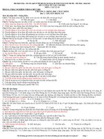 ĐỀ CƯƠNG ÔN TẬP HỌC KÌ 1 VẬT LÝ 10