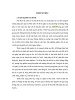 Tieu luan  cao học môn quản lý nhà nước -   TĂNG CƯỜNG HIỆU lực QUẢN lý NHÀ nước về đô THỊ