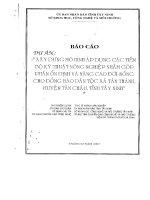 xây dựng mô hình áp dụng các tiến bộ kỹ thuật nông nghiệp nhằm góp phần ổn định và nâng cao đời sống cho đồng bào dân tộc 