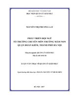 Phát triển đội ngũ tổ trưởng chuyên môn trường mầm non quận Hoàn Kiếm, Thành Phố Hà Nội (Luận văn thạc sĩ)