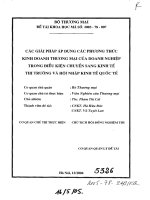 Các giải pháp áp dụng các phương thức kinh doanh thương mại của doanh nghiệp trong điều kiện chuyển sang kttt và hnqt 