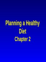 Chapter 2  planning a healthy diet 