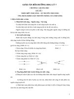 Giao an BDHSG ly 7  chu de