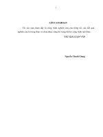 Quản lý dạy học môn Toán theo định hướng phát triển năng lực của học sinh ở trường THPT chuyên Hưng Yên (Luận văn thạc sĩ)