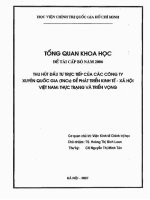 Tổng quan khoa học thu hút đầu tư trực tiếp của các công ty xuyên quốc gia (TNCs) để phát triển kinh tế   xã hội việt nam thực trạng và triển vọng 