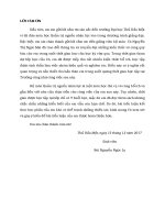 Tiểu luận phân các nhân tố ảnh hưởng đến sự hài lòng công việc của nhân viên