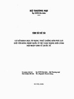 Cơ sở khoa học áp dụng thuế chống bán phá giá đối với hàng nhập khẩu ở VN trong bối cảnh hội nhập kinh tế quốc tế 