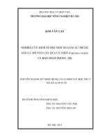 Nghiên cứu dịch tễ học một số loài ấu trùng sán lá truyền lây qua cá chép (cyprinus carpio) và biện pháp phòng, trị ( Luận án tiến sĩ)
