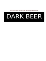 BÁO cáo môn CÔNG NGHỆ lên MEN THỰC PHẨM BIA ĐEN  dark beer
