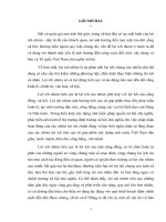 tiểu luận Vấn đề lợi ích nhóm ở Việt Nam  Nguyên nhân và giải pháp khắc phục