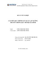 CẢI TIẾN QUY TRÌNH sản XUẤT lạp XƯỞNG TRUYỀN THỐNG QUY mô hộ GIA ĐÌNH 