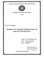 Nghiên cứu chế biến khô bò chay ăn liền từ nấm bào ngư 