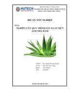 NGHIÊN cứu QUY TRÌNH sản XUẤT mứt JAM NHA ĐAM 