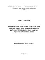 Nghiên cứu trạng thái ứng suất giới hạn trong nền đất tự nhiên dưới tác dụng của tải trọng nền đường đắp và bệ phản áp ( luận án tiến sĩ)