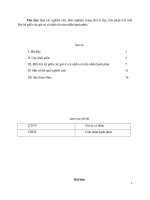 Mối liên hệ giữa giá trị cá nhân và cảm nhận hạnh phúc